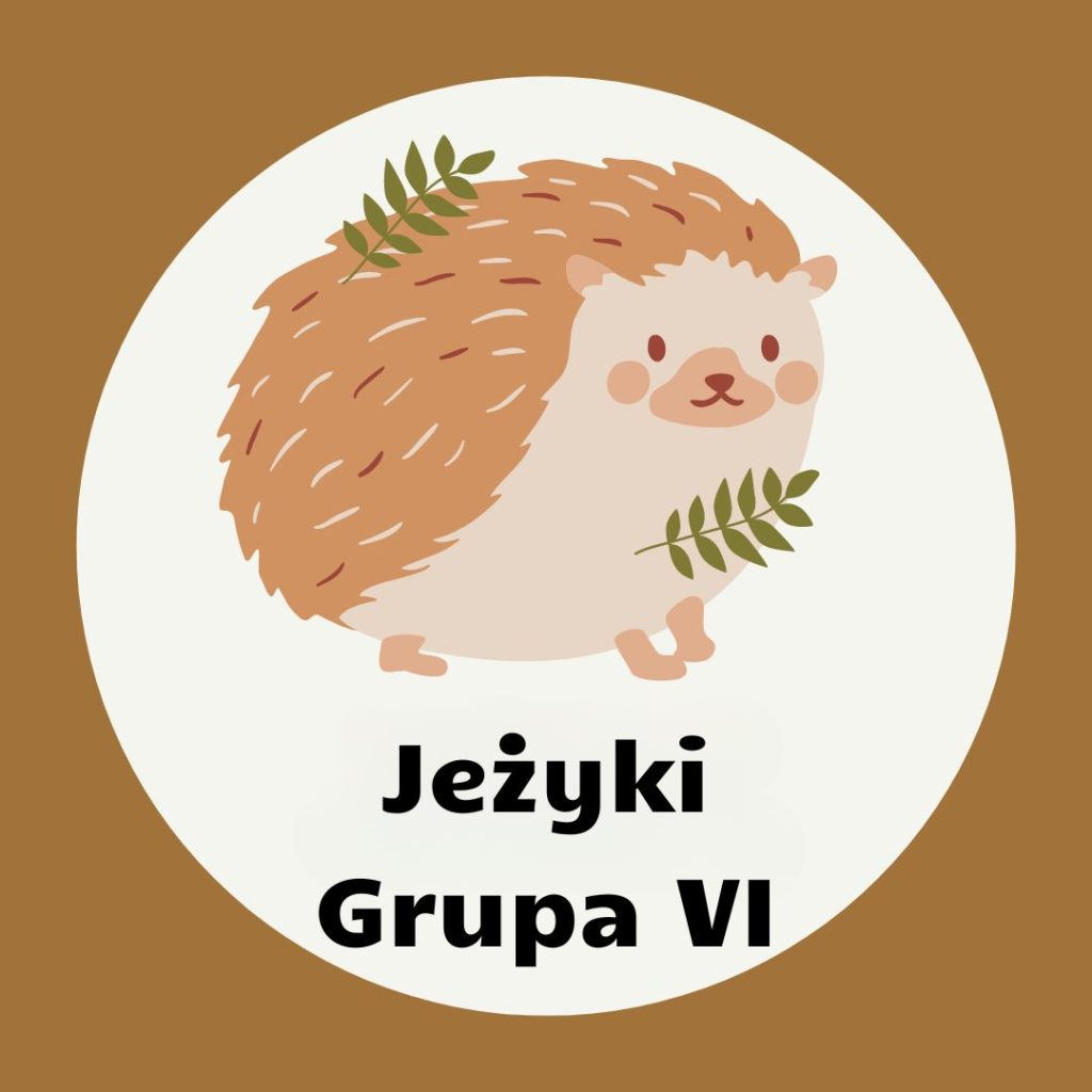Jezyki Grupa VI
