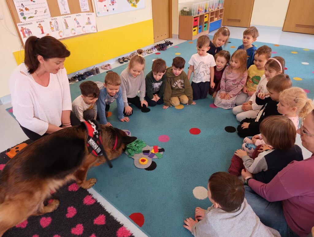 C4ff5655 dd53 4897 9732 2293e79b2c61