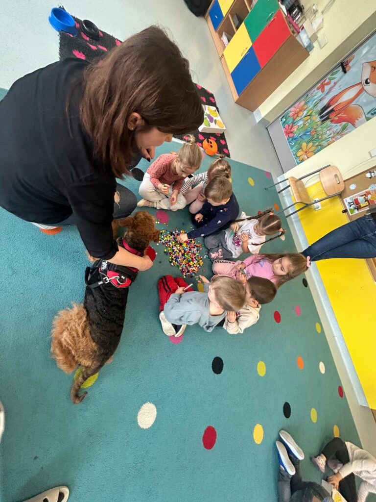 WhatsApp Image 2026 02 16 at 19.20.38 (2)