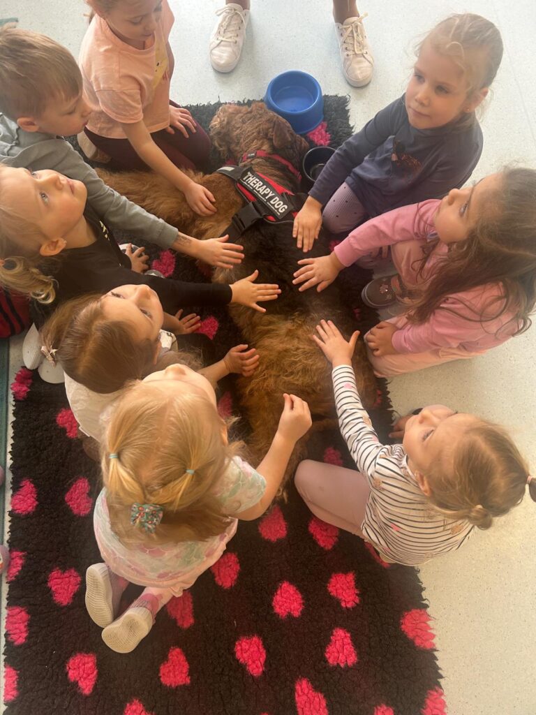 WhatsApp Image 2026 02 16 at 19.20.38 (4)